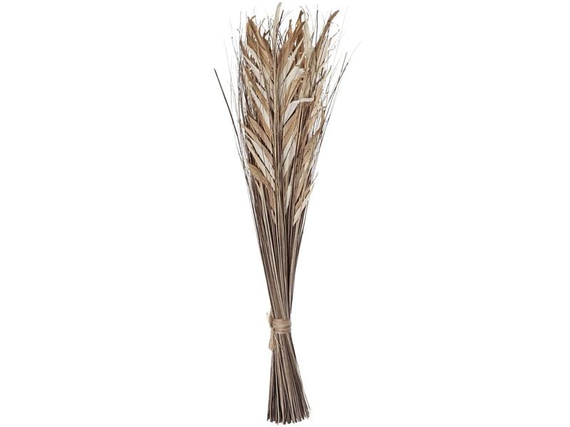 EGLO | Trockenblume HAGONOY | Farbe: Natur