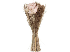 EGLO | Trockenblume CARAQUET | Farbe: Natur/Apricot