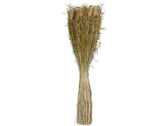 EGLO | Trockenblume CARAQUET | Farbe: Gelb