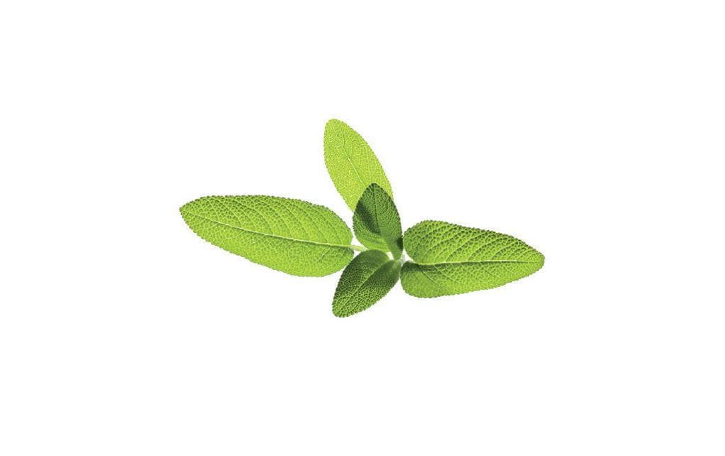 Click and Grow Sage