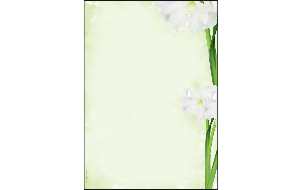 Sigel Motiv-Papier Green Flower A4