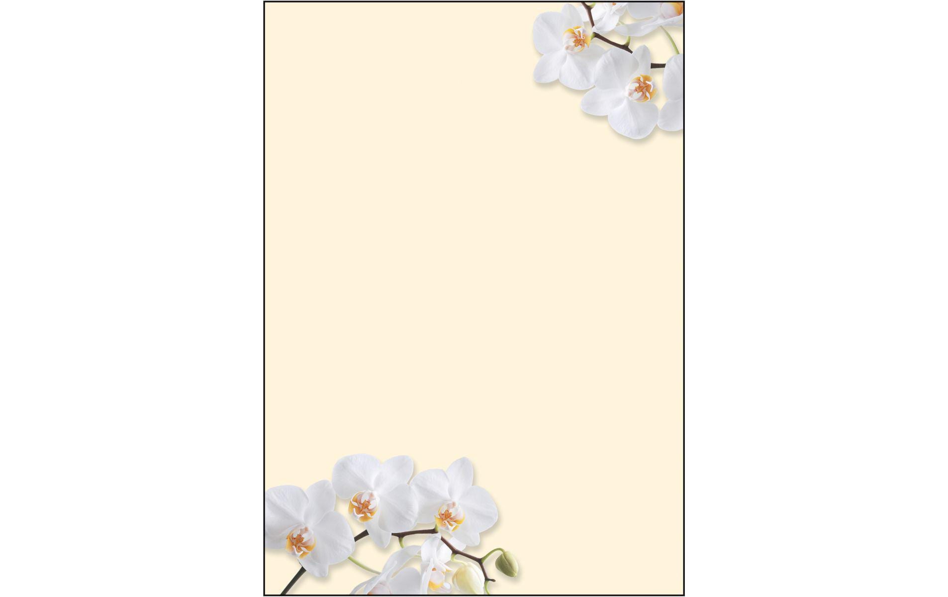 Sigel Motiv-Papier White Orchid A4