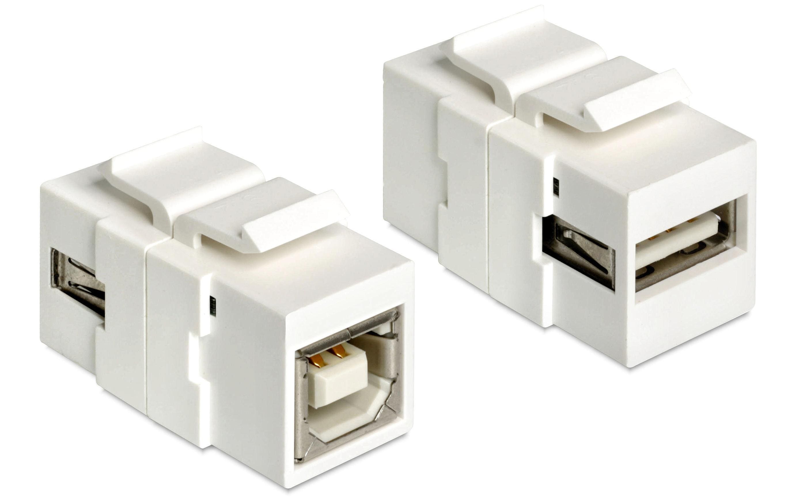 Delock Keystone Jack: USB2.0