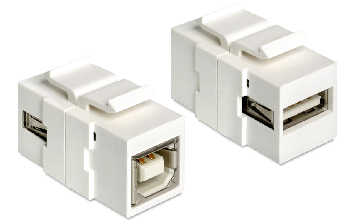 Delock Keystone Jack: USB2.0