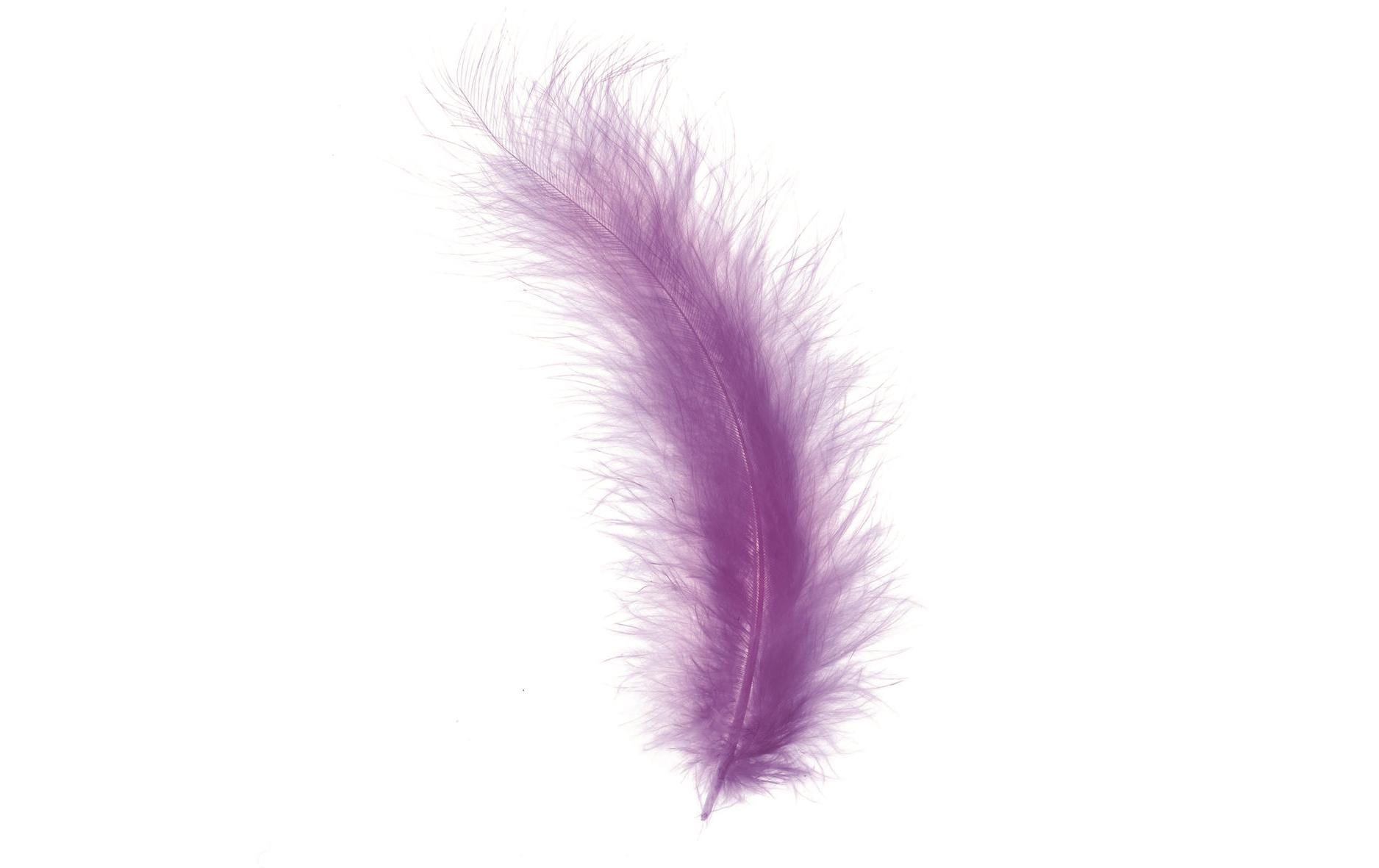 Glorex, Federn Marabu Violett