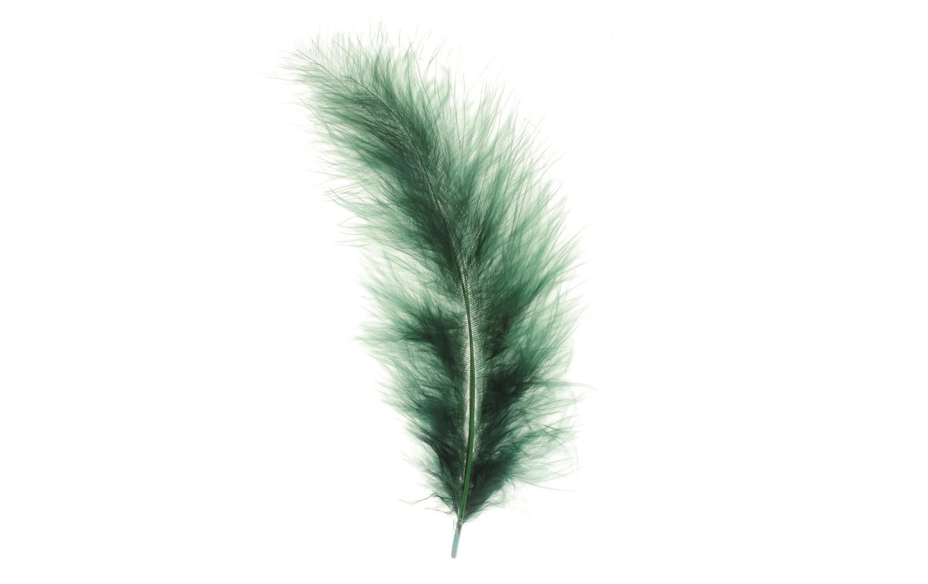 Glorex, Federn Marabu Dunkelgrün