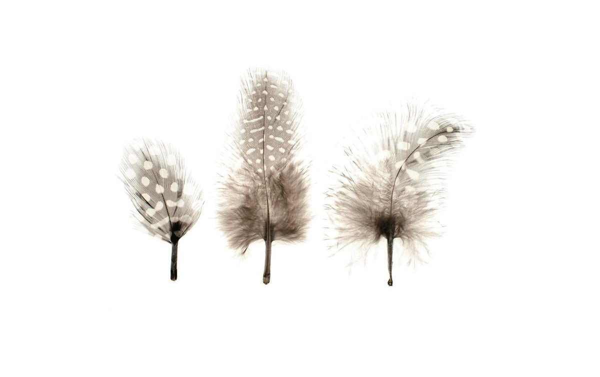 Glorex Federn-Perlhuhn