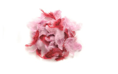 Glorex, Federn Deco Rosa
