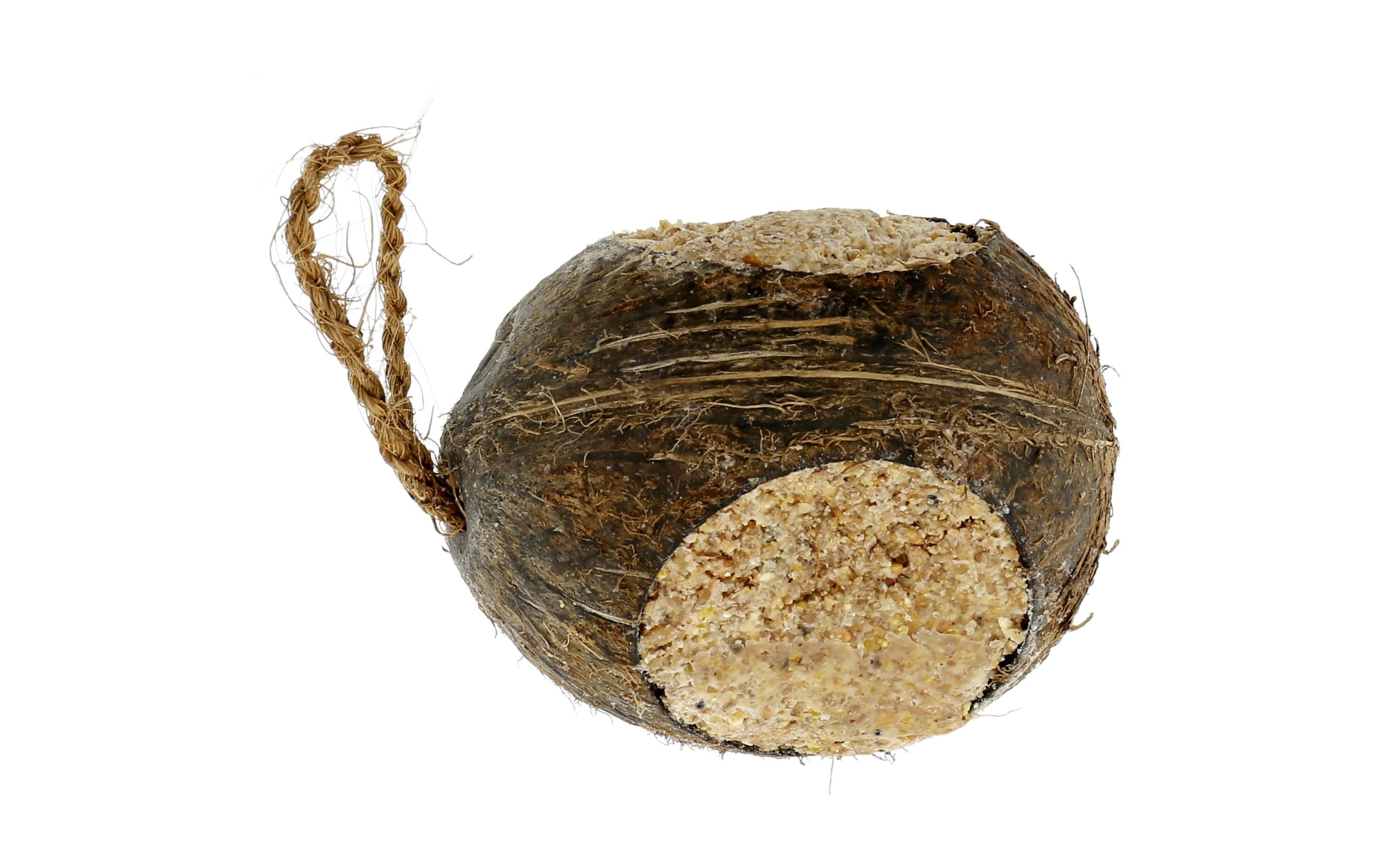 Eric Schweizer, Wintervogelfutter Coconut,