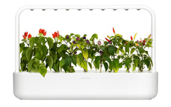 Smart Garden 9
