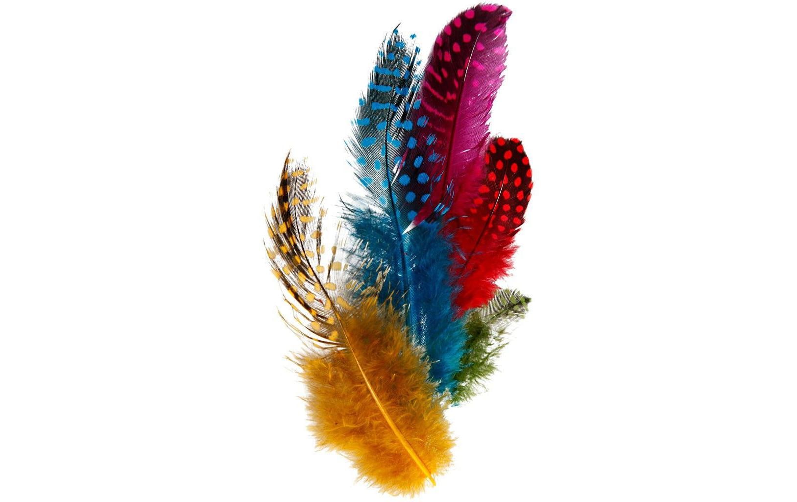 Creativ Company Perlhuhn Federn Sortiment