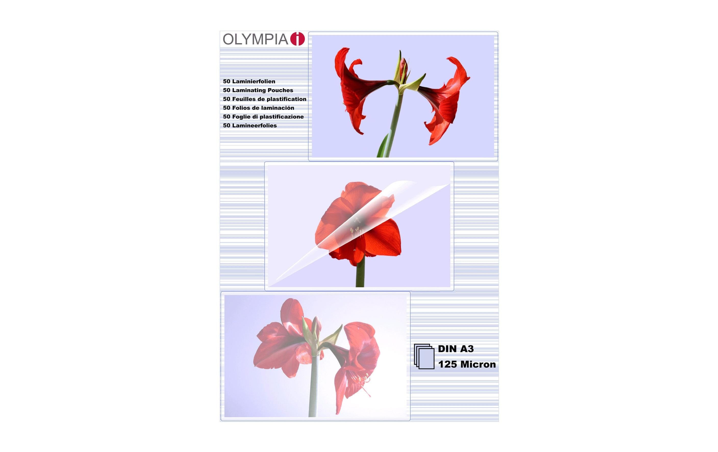 Olympia Laminierfolien DIN A3