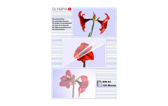Olympia Laminierfolien DIN A3