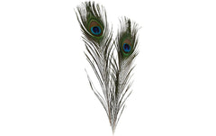 Creativ Company | Pfauenfedern 25 - 30 cm | 10 Stück