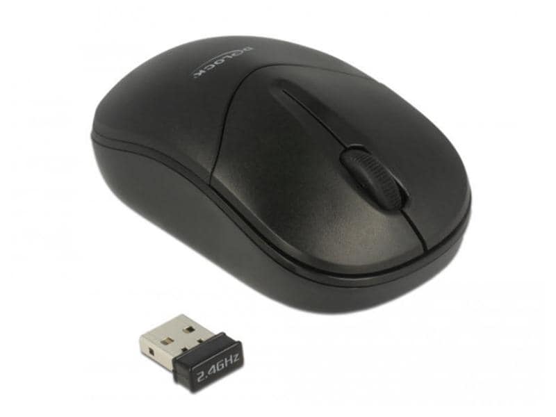 Delock | 12494 USB 2.4 GHz, WIRELESS