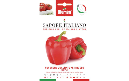 Blumen Paprika Quadrato