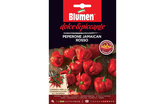 Blumen Paprika Jamaican rosso