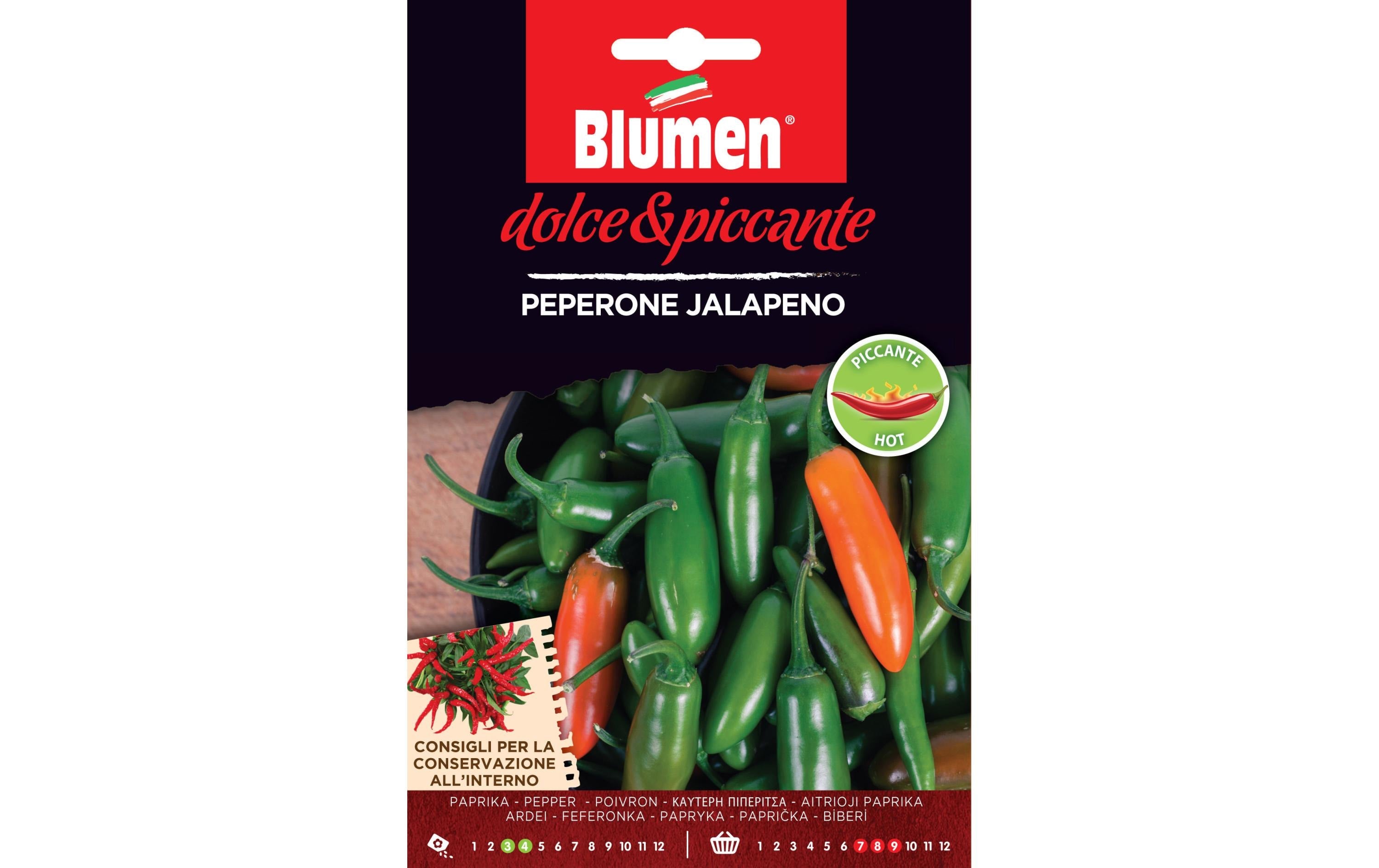 Blumen Paprika Jalapeno
