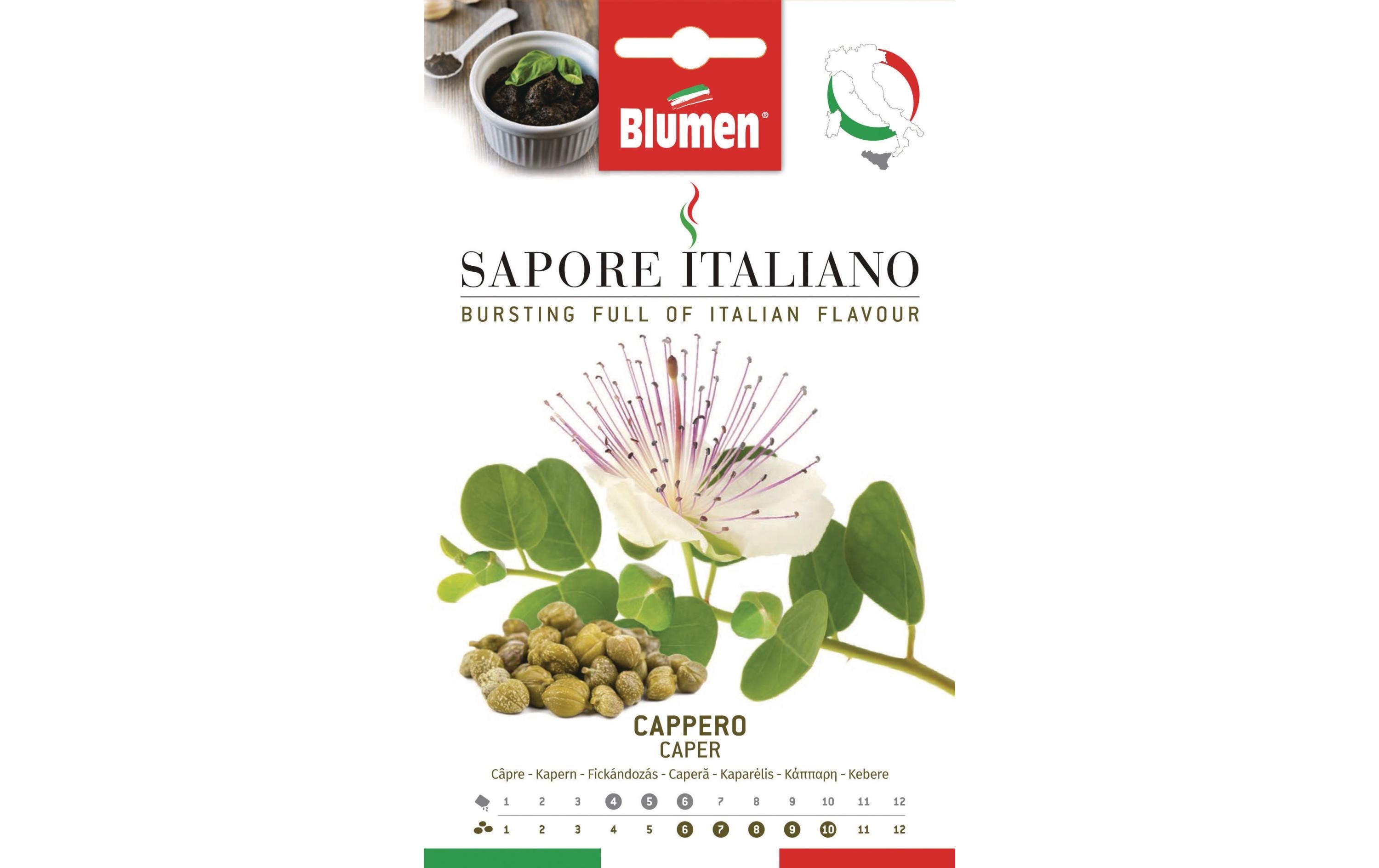 Blumen Kapern