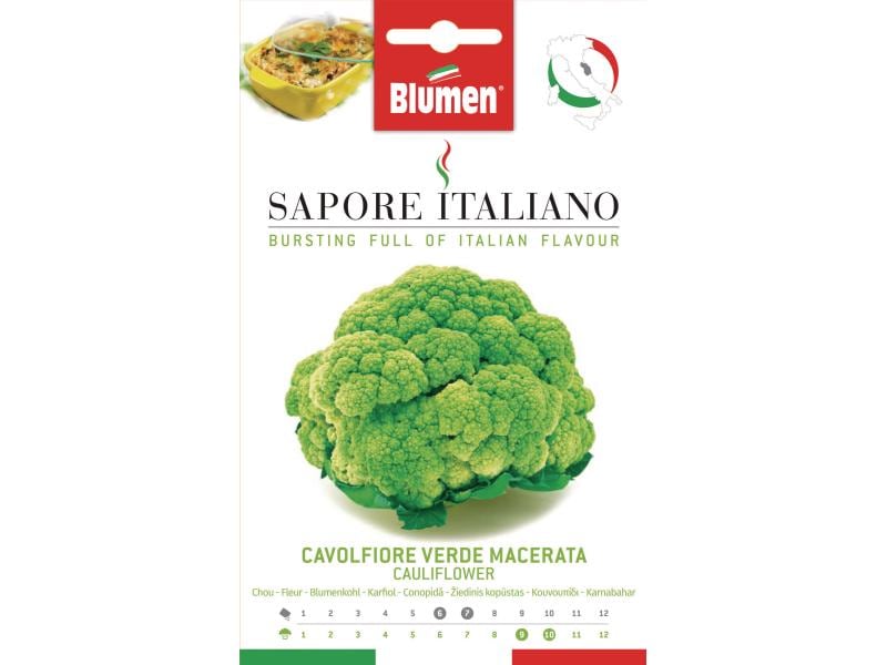 Blumen | Blumenkohl Verde | Macerata 1.5 g