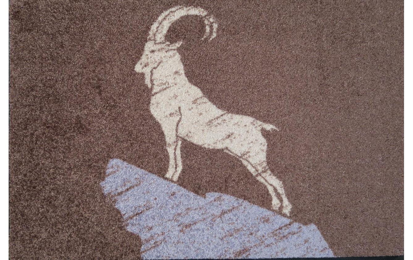 Wash+Dry Steinbock Braun Fussmatte