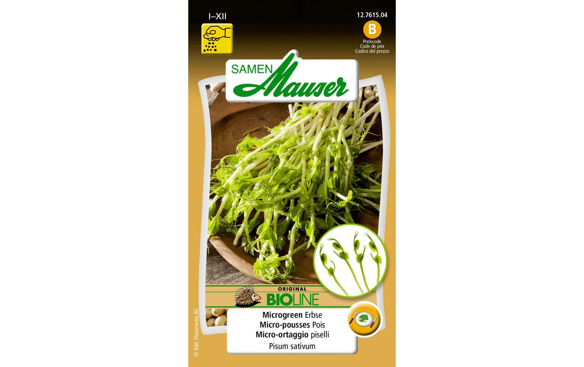 Samen Mauser BIO Microgreen Erbse