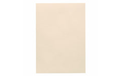 Artoz, Bastelpapier 1001 A4 220 g/m² Ivory,