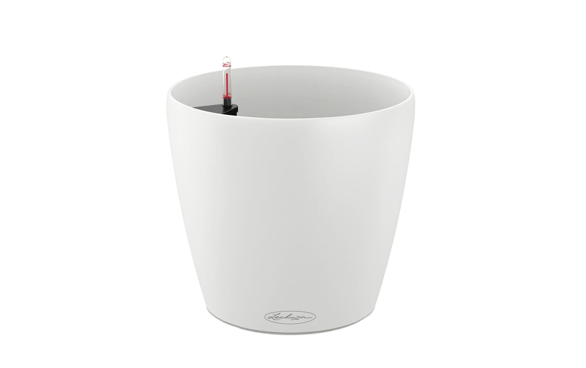 Lechuza CLASSICO Color 18