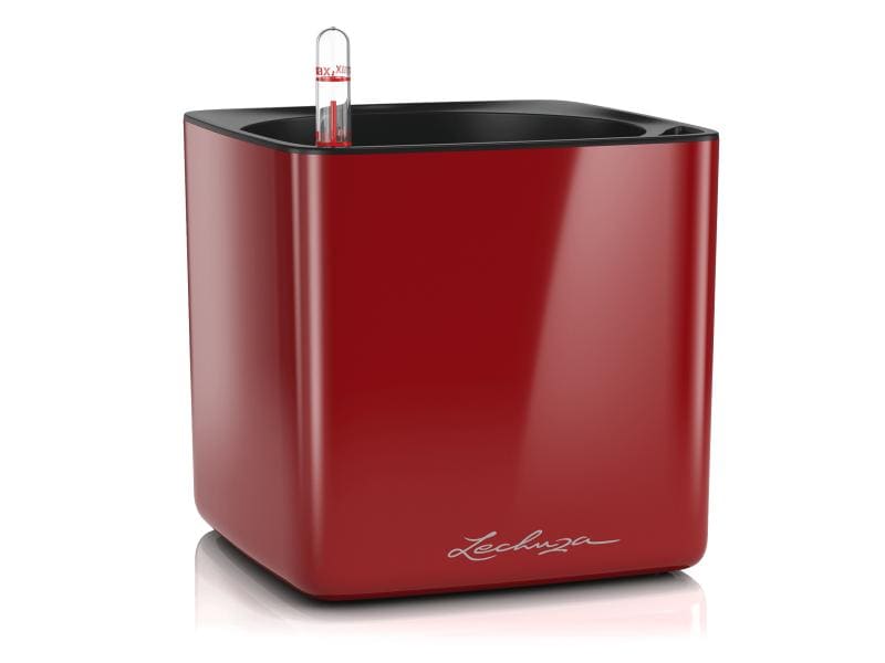 Lechuza | CUBE Glossy 16 | scarlet rot highgloss