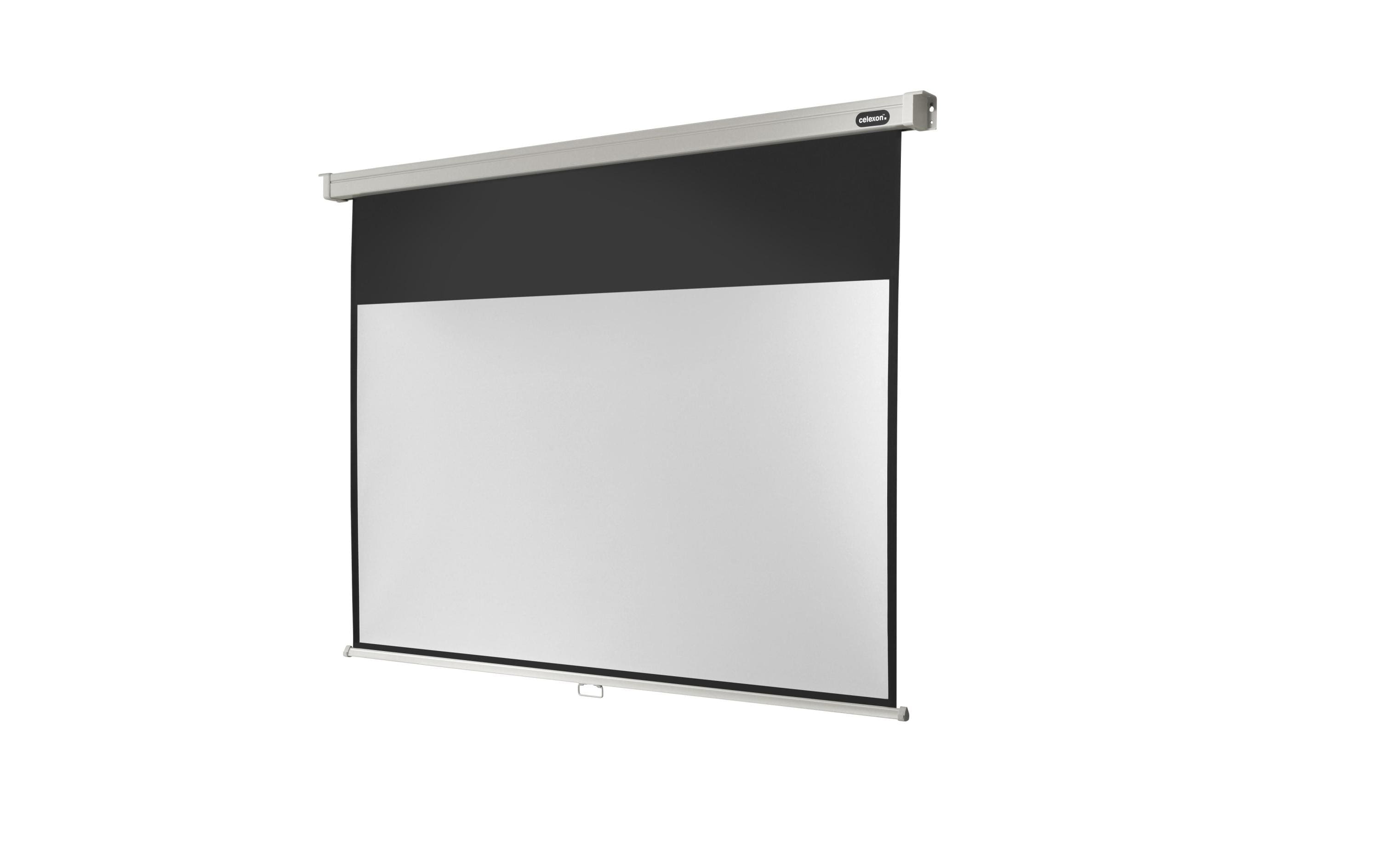 Celexon, Rollo-Leinwand Pro 220x124cm 16:9