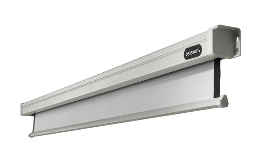 Celexon, Motor Professional, Leinwand, 1:1