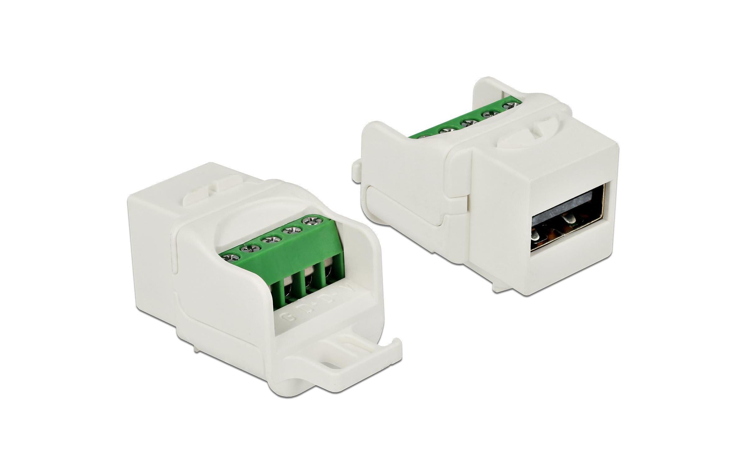 Delock Keystone Modul: USB2.0