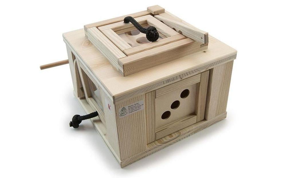 Hundespiele aus Holz Tresor