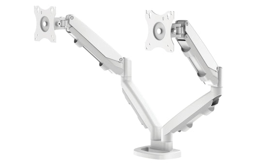 Fellowes Doppel-Monitorarm ESI Eppa