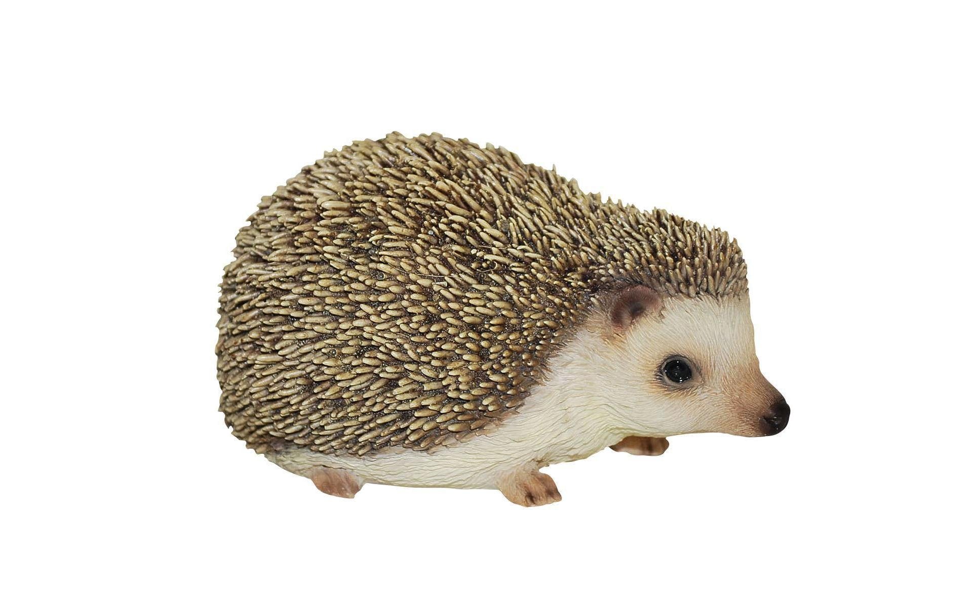 Vivid Arts Igel, Polyresin, Braun