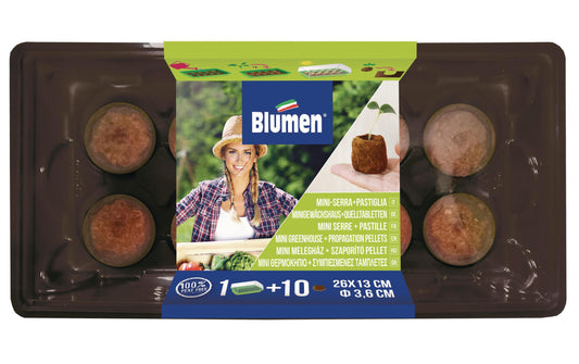 Blumen Gewächshaus + 10 Kokosquelltabl.