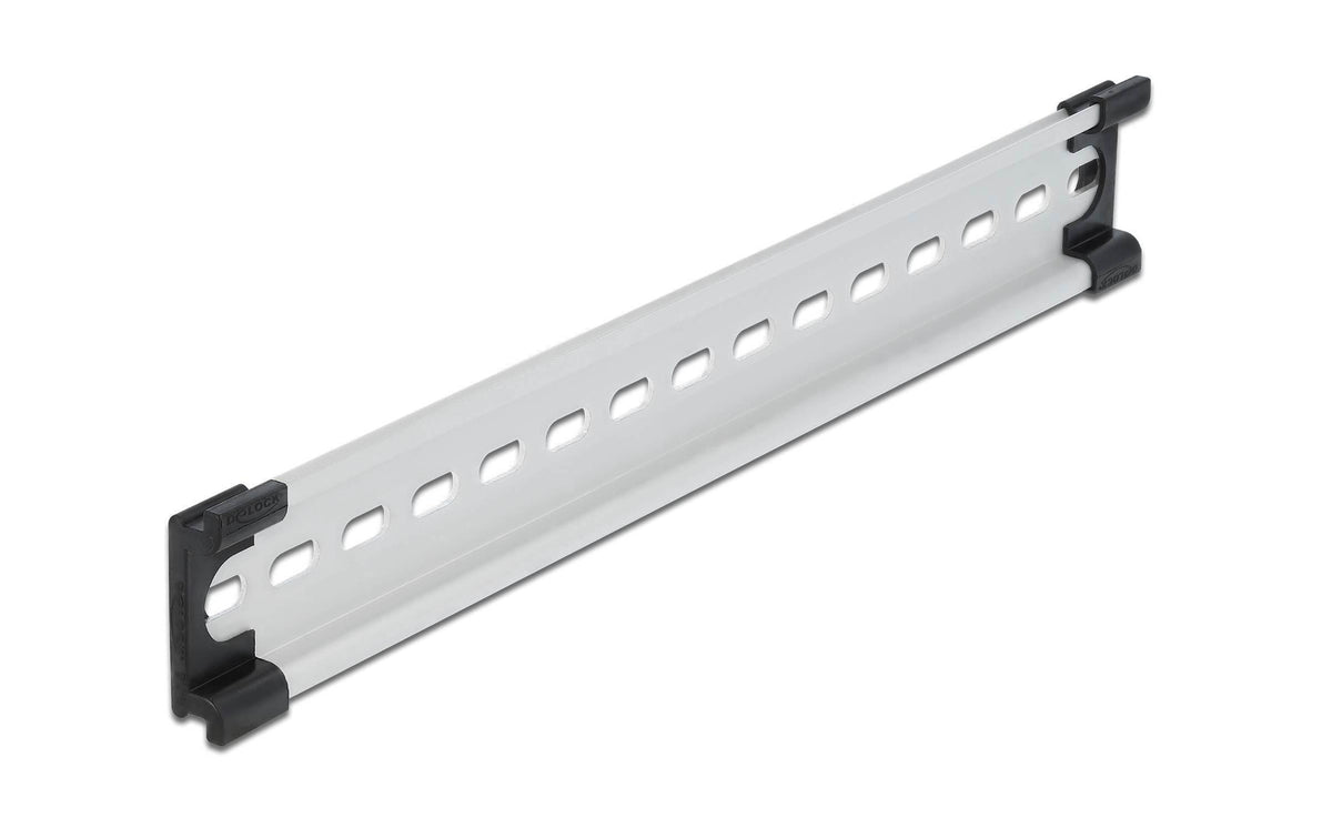Delock Hutschiene 25cm, mit Schlitzlöcher