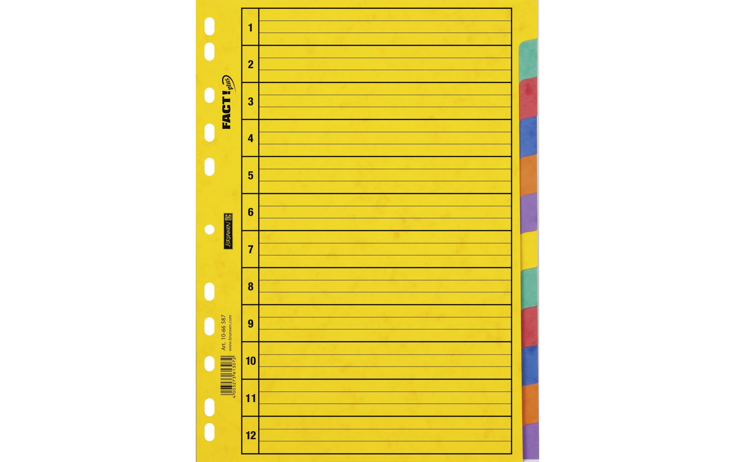Brunnen Register A4 Fact Plus
