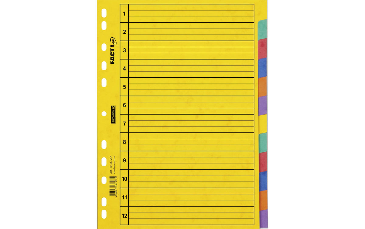 Brunnen Register A4 Fact Plus