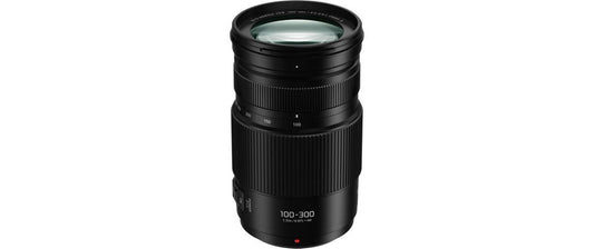 Panasonic 100-300mm f/4-5.6 O.i.S