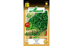 Keimsamen Rauke (Rucola)