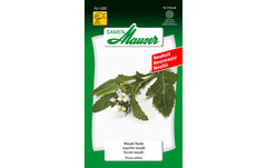 Samen Mauser | Wasabi Rauke | Eruca vesicaria sativa