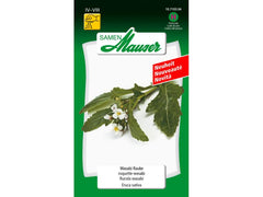 Samen Mauser | Wasabi Rauke | Eruca vesicaria sativa