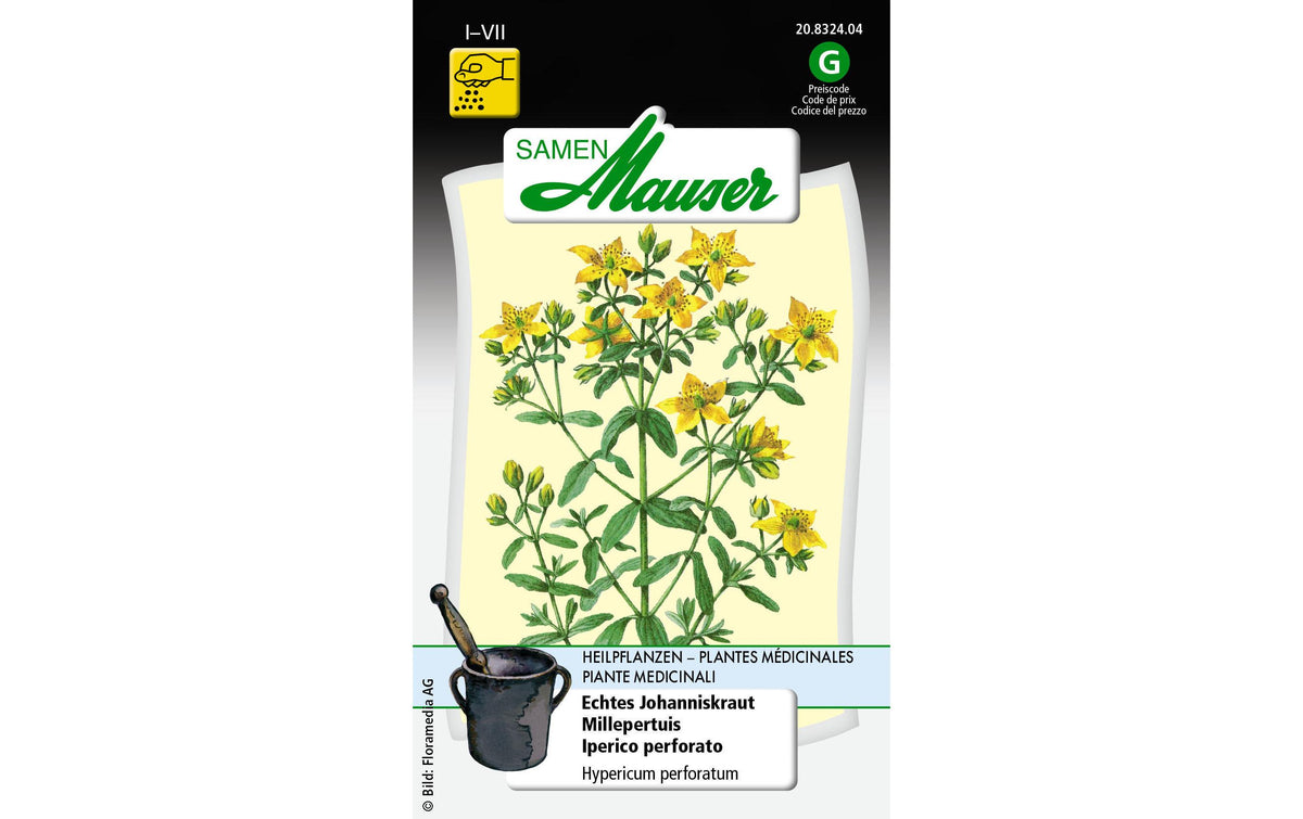 Echtes Johanniskraut