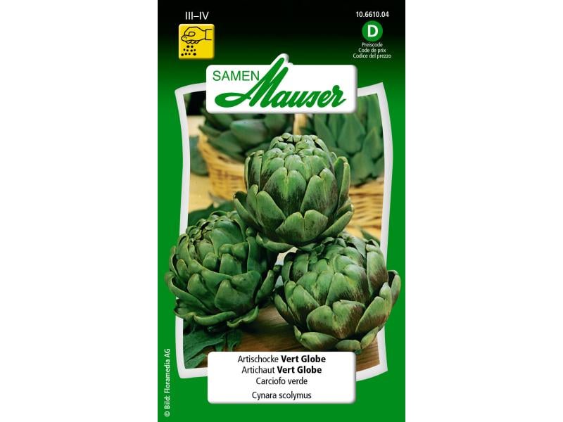 Samen Mauser | Artischocke Vert Globe | Cynara scolymus