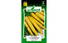 Samen Mauser | Karotte Pfälzer | Daucus carota