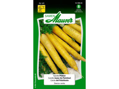 Samen Mauser | Karotte Pfälzer | Daucus carota