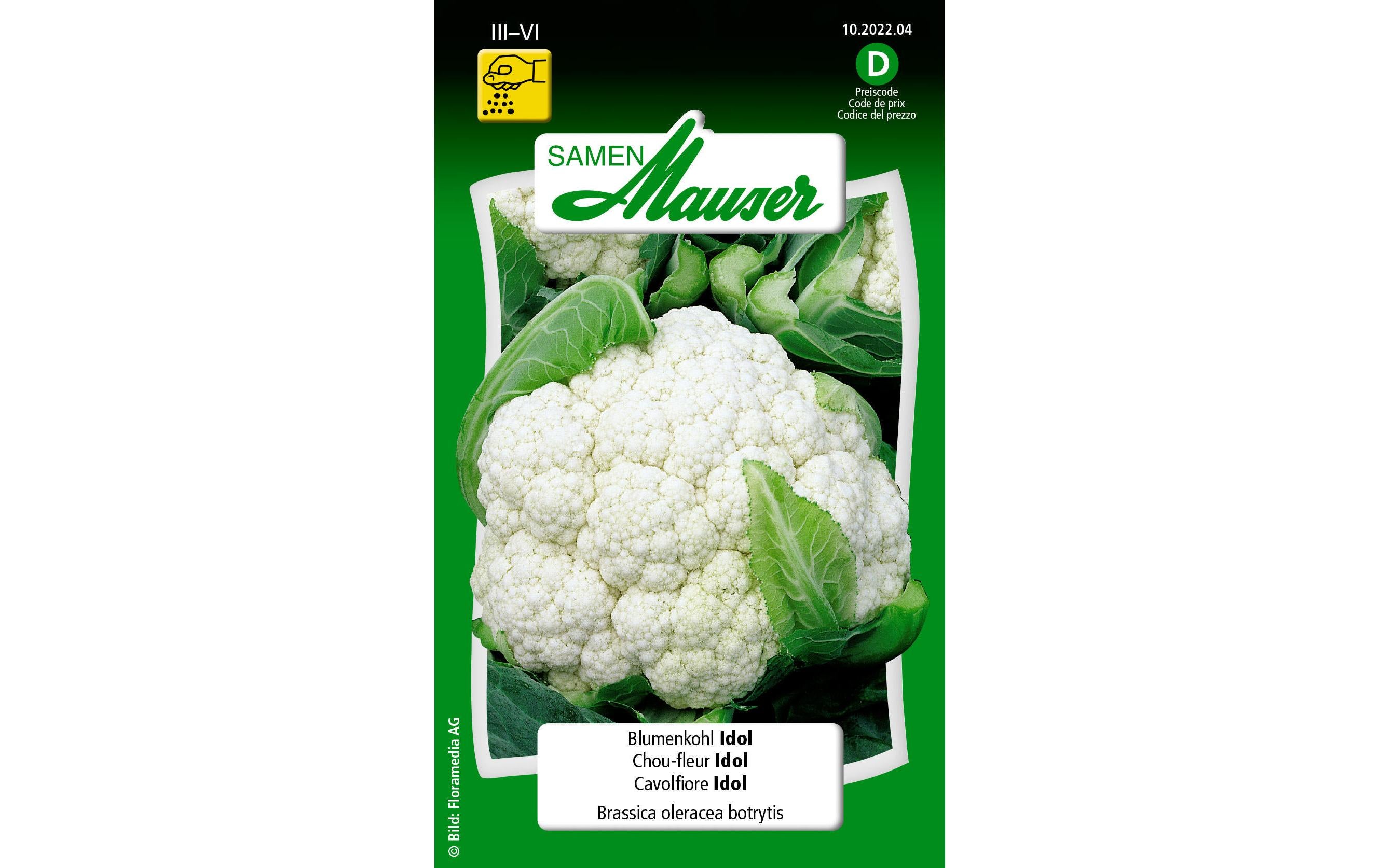 Blumenkohl Idol