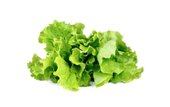Click and Grow Grüner Salat