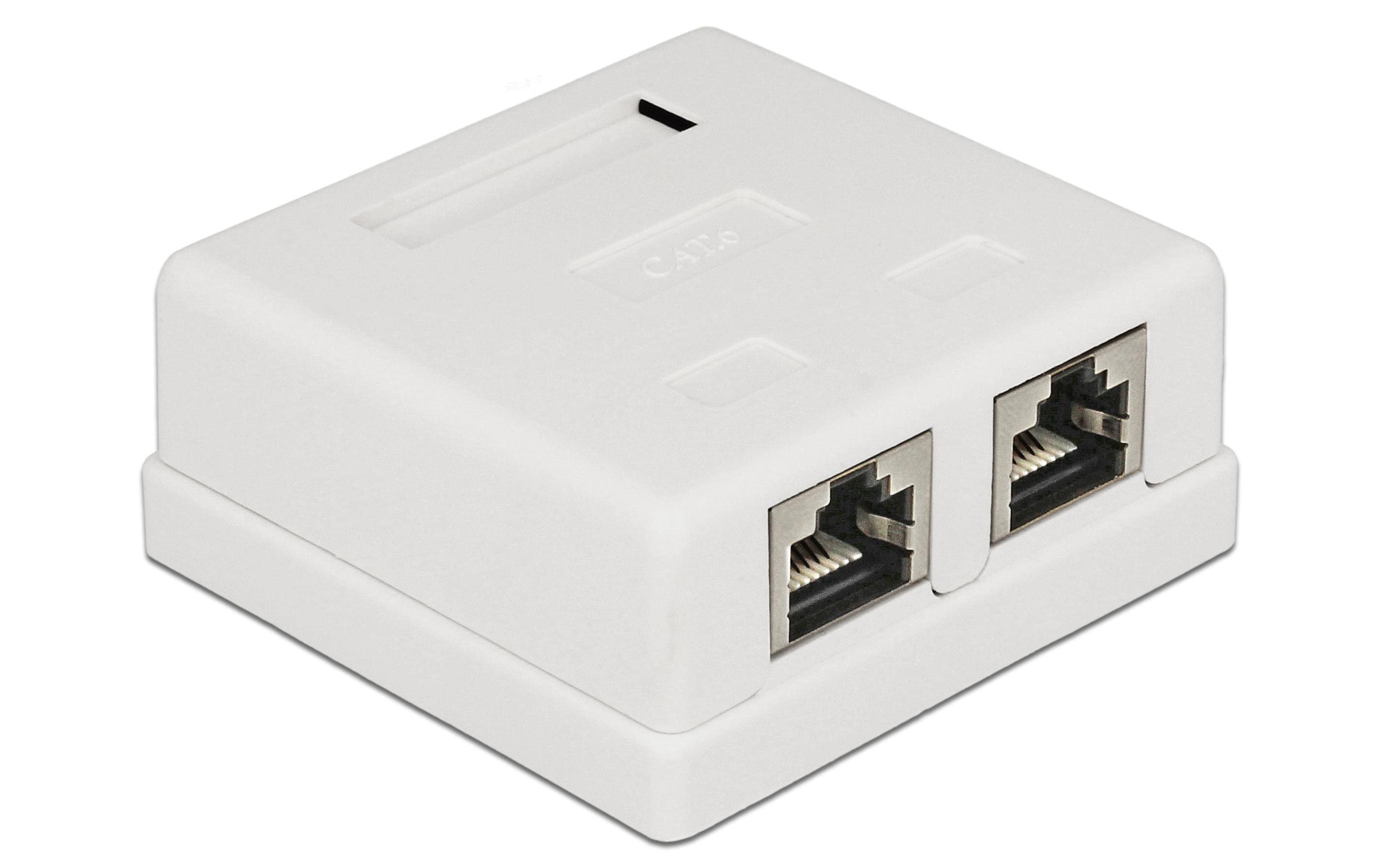 Delock RJ-45 Cat.6 Gehäuse: 2 Port